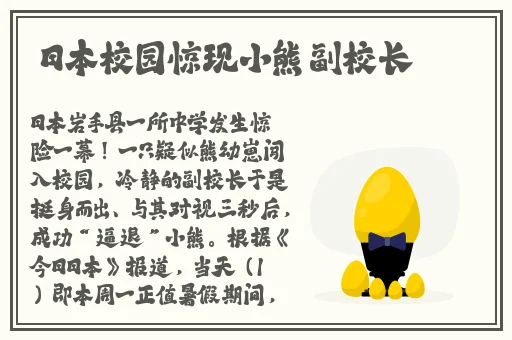 17c.com